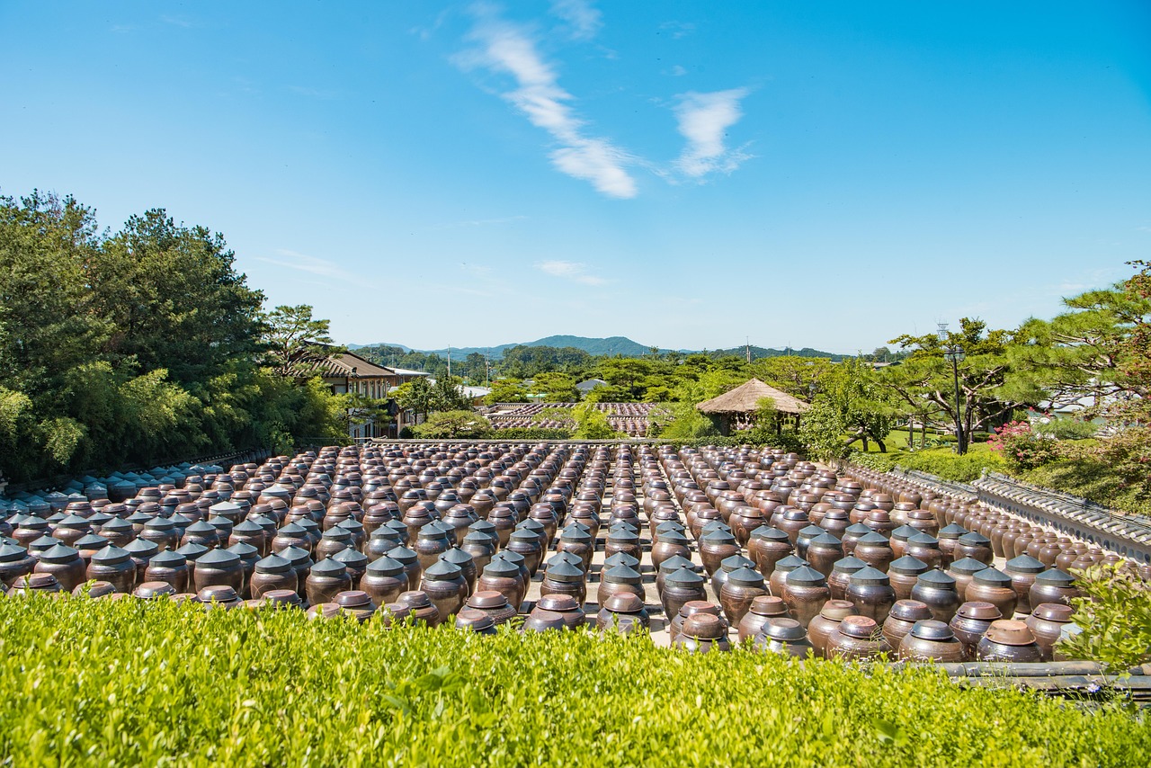 空城旧人 第8页