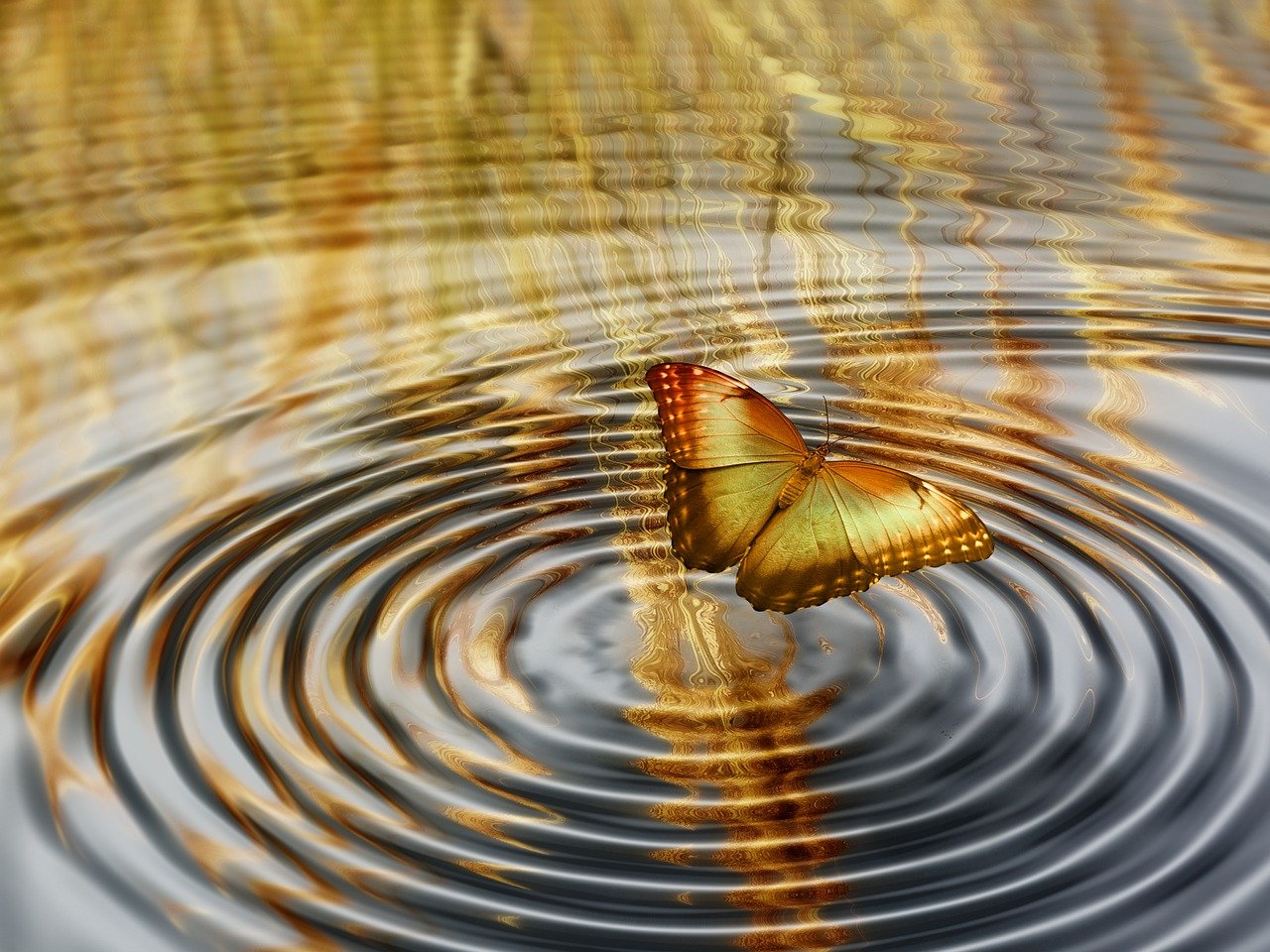深度解析与理解，股票的结构与内涵